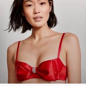 Victoria’s Secret Push Up No Padding Holiday Satin Bow Bra 38DDD NWT